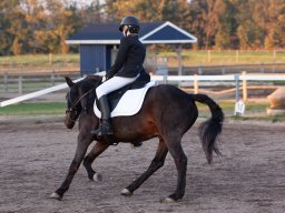 IMG_8125_web
